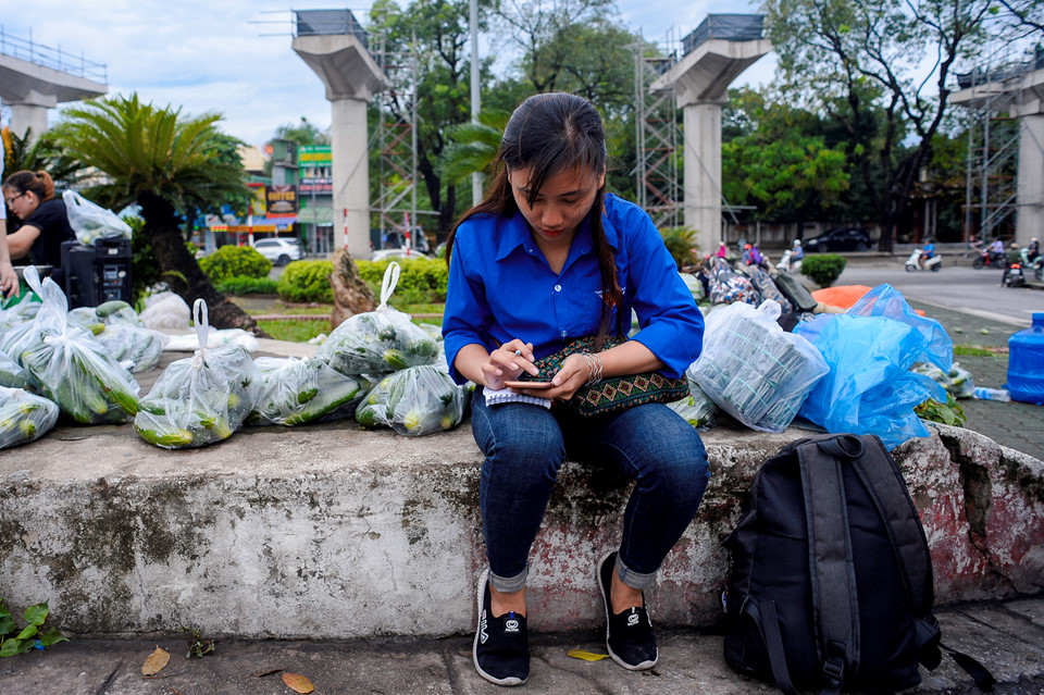 Sinh viên đội mưa giải cứu hàng tấn dưa chuột cho nông dân xứ Nghệ